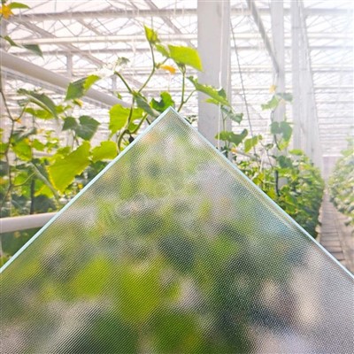 AR Greenhouse Glass